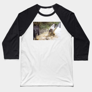 Splashing through a puddle Spinone Baseball T-Shirt